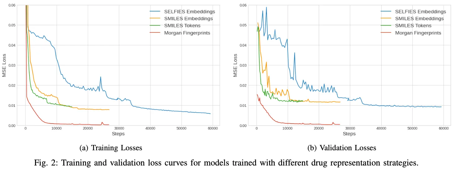 Training and validation losses for the different models