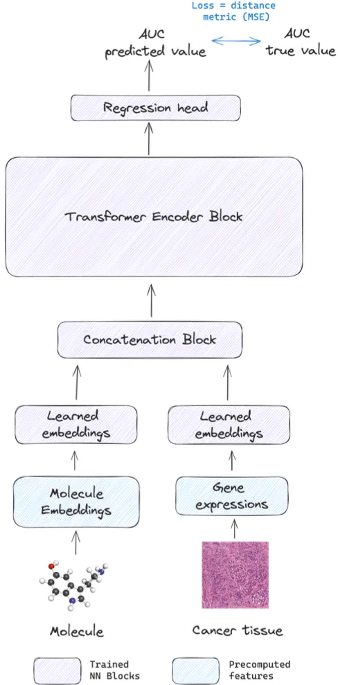 Transformer-based architecture for benchmarking molecular embeddings